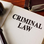 What to Expect from a Criminal Lawyer